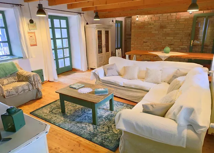 Fekete Golya Xl * Tiszafüred