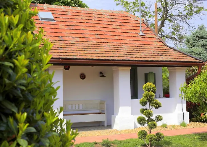 Fekete Golya Xl Tiszafüred